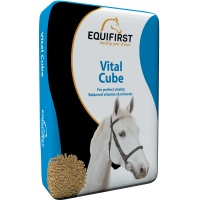 Equifirst-Vital Cube
